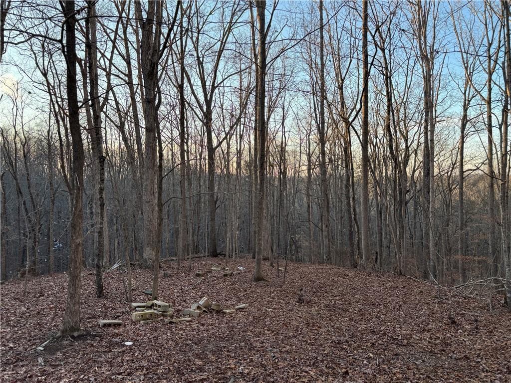 4 bedroom, 1 bathroom unimproved land for sale at 7175 Anderson Lake Road, Dawsonville, GA 30534 — photo 10