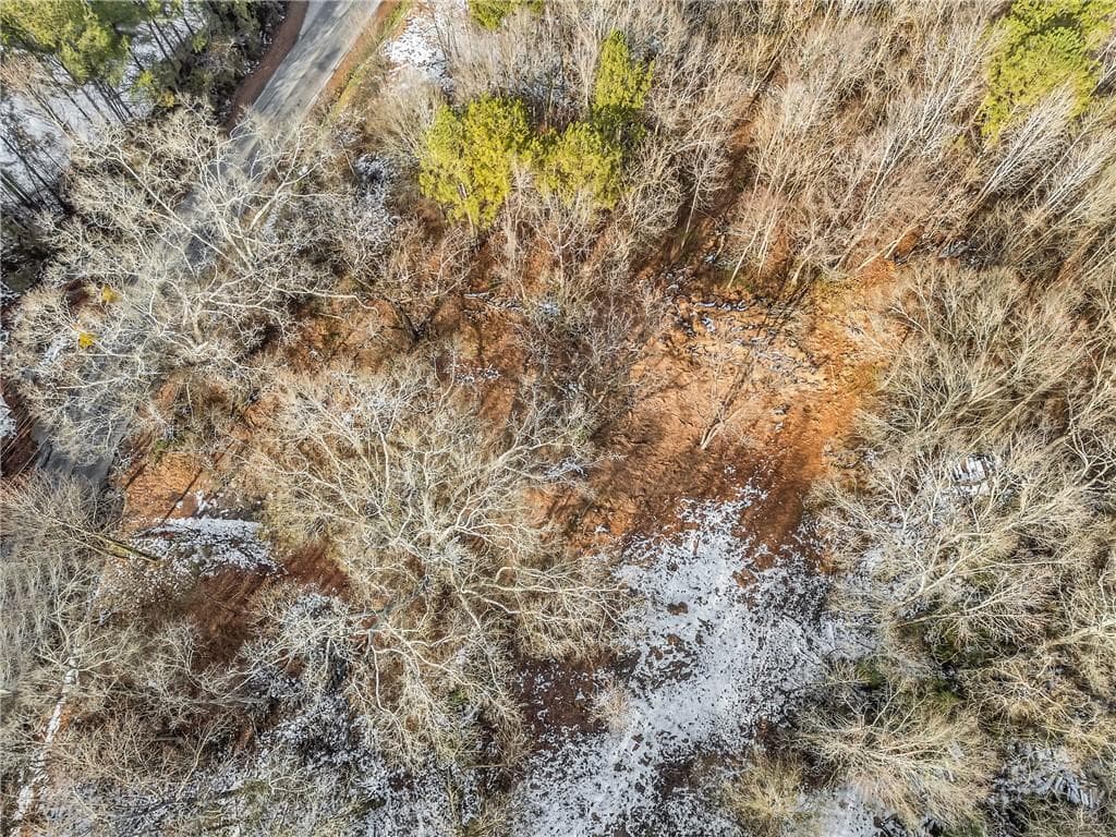 unimproved land for sale at 3648 Panthersville Road, Decatur, GA 30034 — photo 4
