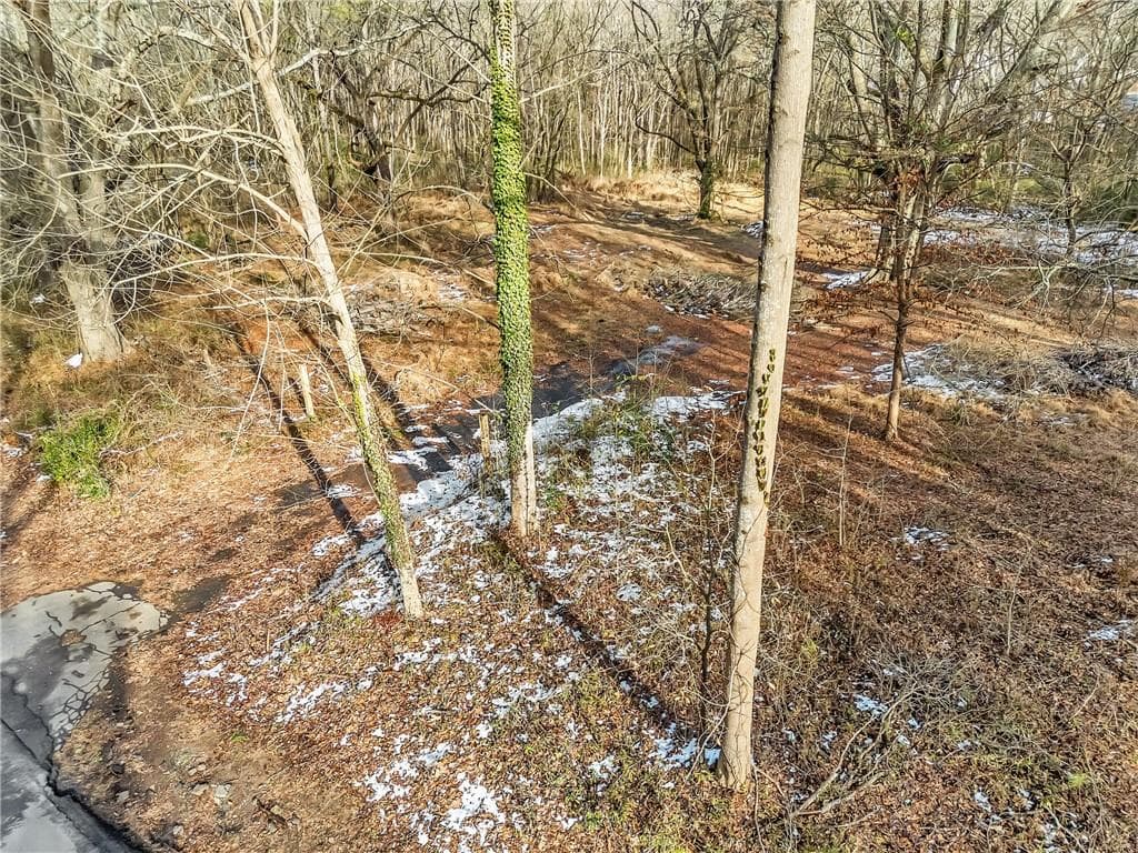 unimproved land for sale at 3648 Panthersville Road, Decatur, GA 30034 — photo 5
