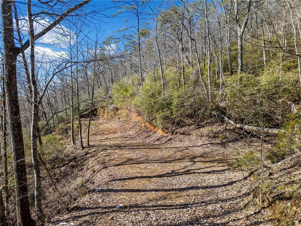 single family residence for sale at 0 Big Oak Drive, Jasper, GA 30143 — photo 10