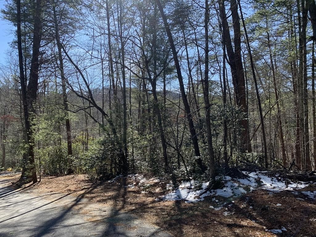 other for sale at 0 Pinecrest Road, Sautee Nacoochee, GA 30571 — photo 1 of 13