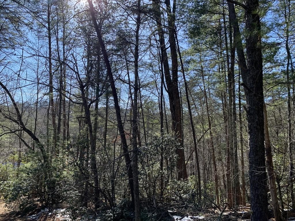 other for sale at 0 Pinecrest Road, Sautee Nacoochee, GA 30571 — photo 2