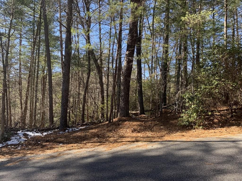 other for sale at 0 Pinecrest Road, Sautee Nacoochee, GA 30571 — photo 3