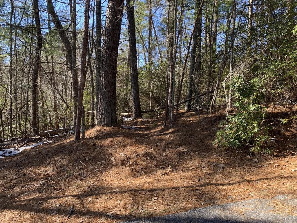 other for sale at 0 Pinecrest Road, Sautee Nacoochee, GA 30571 — photo 4