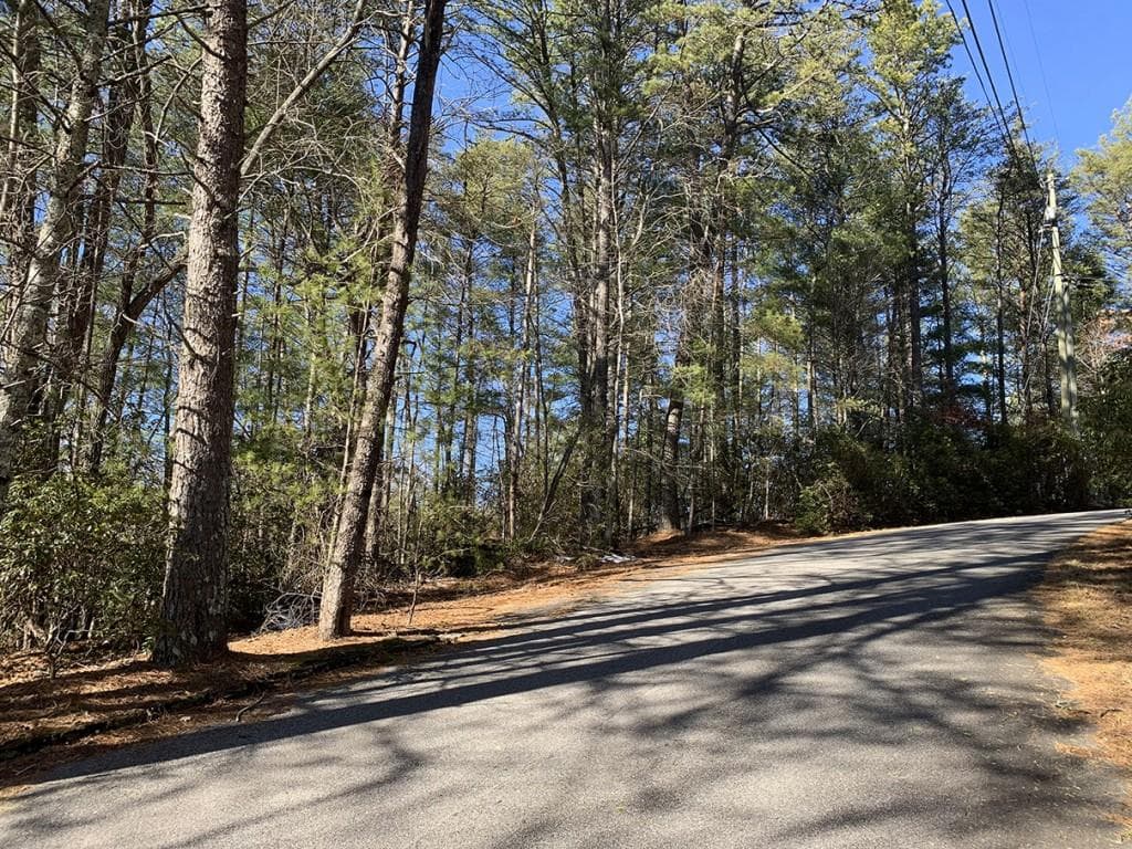 other for sale at 0 Pinecrest Road, Sautee Nacoochee, GA 30571 — photo 5