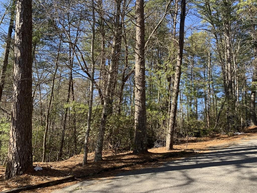 other for sale at 0 Pinecrest Road, Sautee Nacoochee, GA 30571 — photo 6