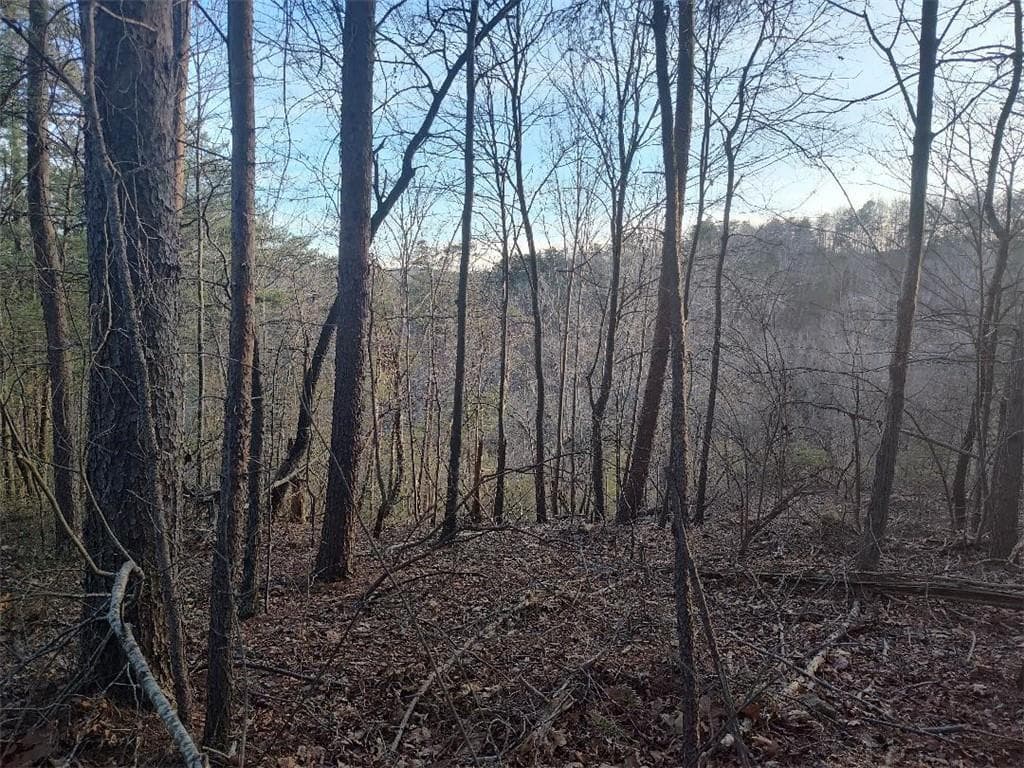 single family residence for sale at 1058 Mayfield Lane, Ranger, GA 30734 — photo 4