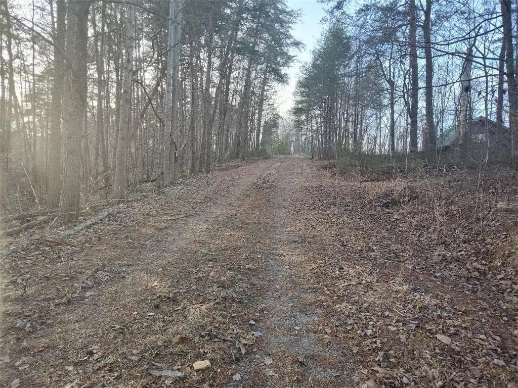 single family residence for sale at 1058 Mayfield Lane, Ranger, GA 30734 — photo 7