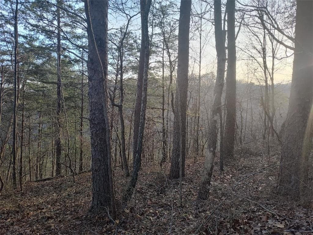 single family residence for sale at 1058 Mayfield Lane, Ranger, GA 30734 — photo 2