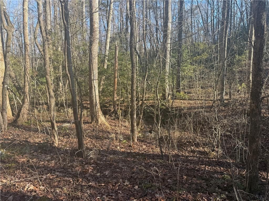 0 Poplar Drive, Dawsonville, GA 30534 — most recent listing photo