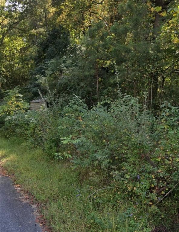 unimproved land for sale at 188 Eidson Street, Acworth, GA 30101 — photo 4