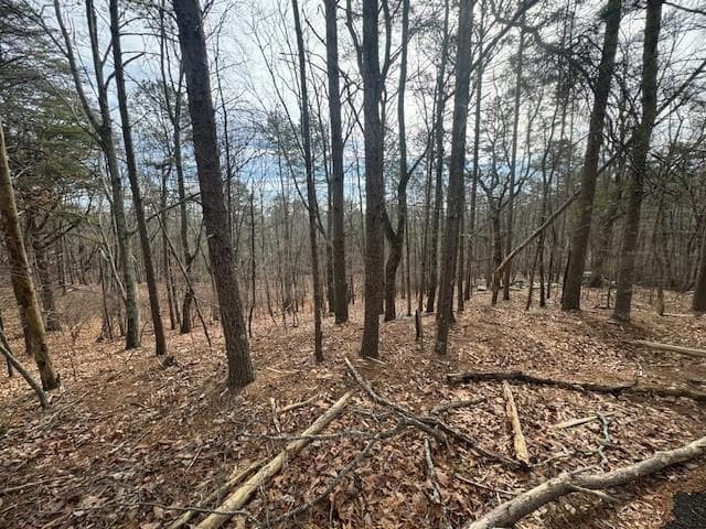 unimproved land for sale at 117 Leopard Court, Waleska, GA 30183 — photo 1 of 9