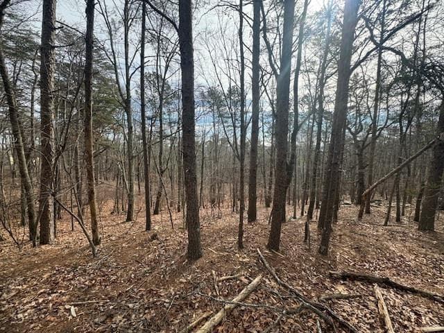 unimproved land for sale at 117 Leopard Court, Waleska, GA 30183 — photo 2