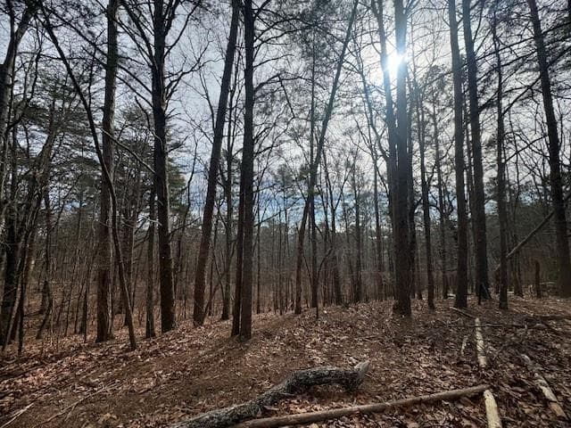 unimproved land for sale at 117 Leopard Court, Waleska, GA 30183 — photo 3