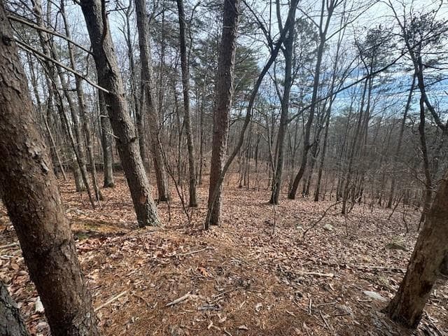 unimproved land for sale at 117 Leopard Court, Waleska, GA 30183 — photo 4