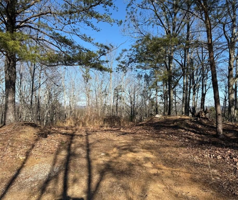 other sold at 48 Antler Court, Ranger, GA 30734