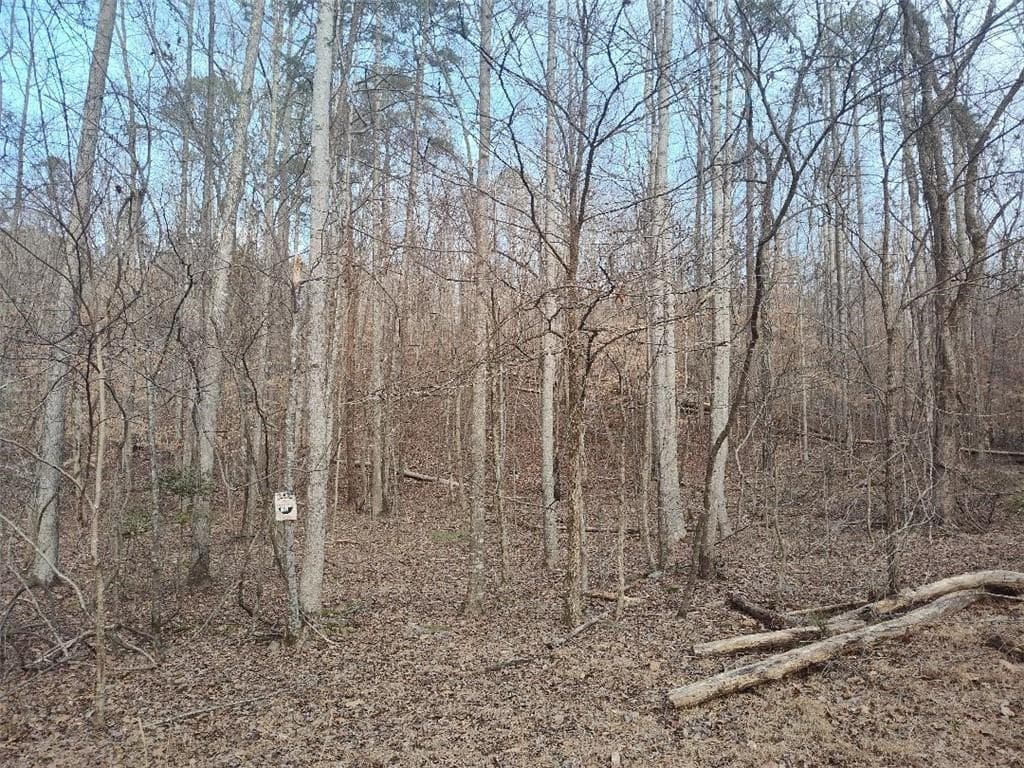 single family residence sold at 157 Jasmine Drive, Ranger, GA 30734