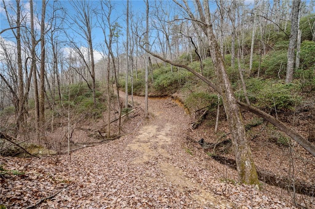single family residence for sale at 0 Big Oak Drive, Jasper, GA 30143 — photo 6