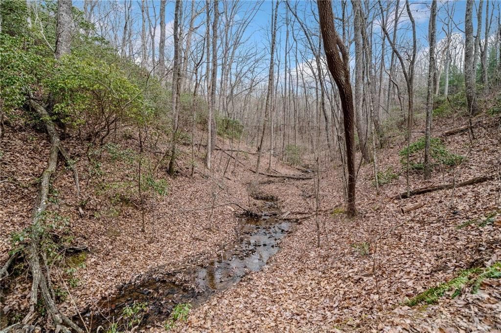 single family residence for sale at 0 Big Oak Drive, Jasper, GA 30143 — photo 7