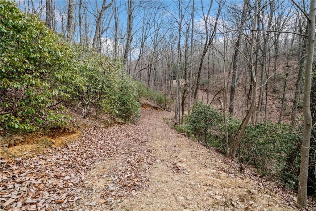 single family residence for sale at 0 Big Oak Drive, Jasper, GA 30143 — photo 8