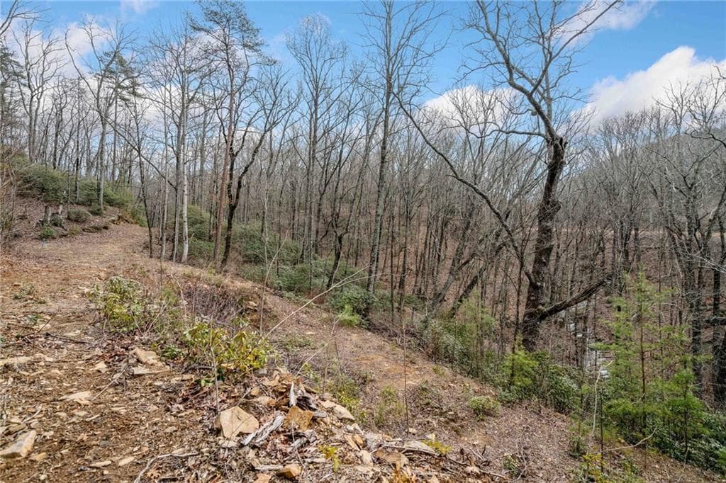 single family residence for sale at 0 Big Oak Drive, Jasper, GA 30143 — photo 4