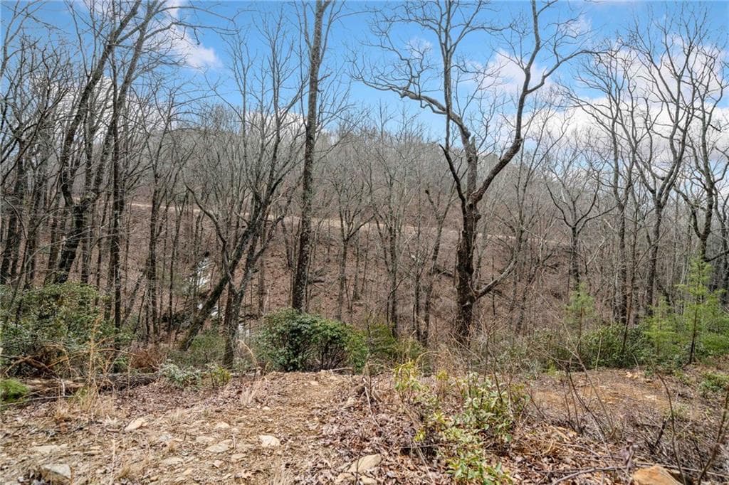 single family residence for sale at 0 Big Oak Drive, Jasper, GA 30143 — photo 3