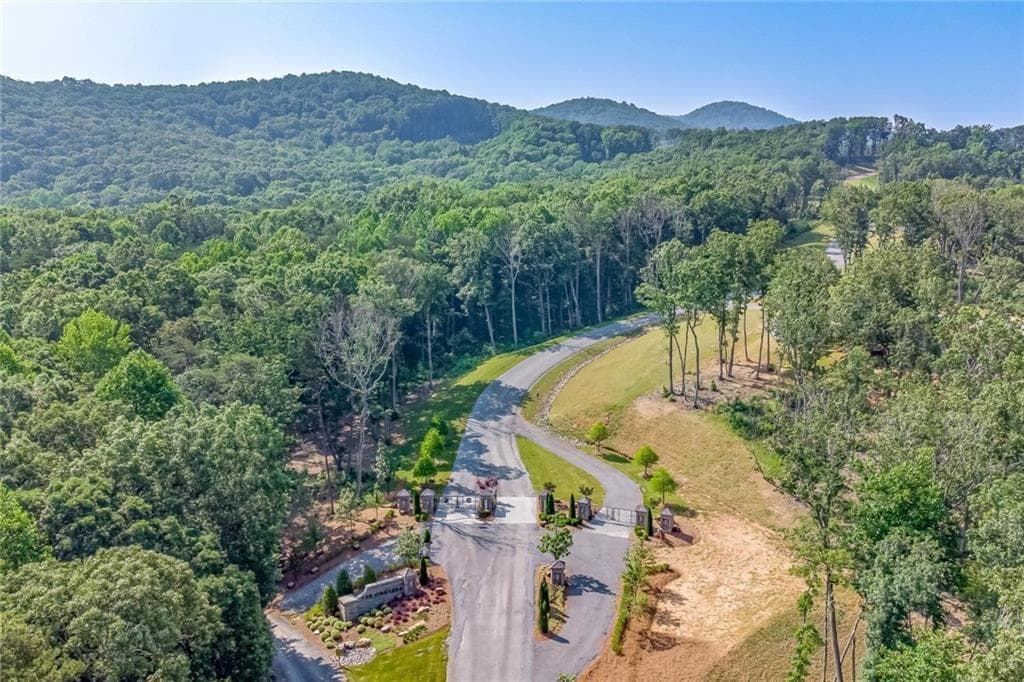 unimproved land for sale at 134 Twisted Oak Road, Talking Rock, GA 30175 — photo 9