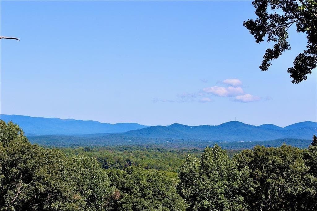 unimproved land for sale at 135 Twisted Oak Road, Talking Rock, GA 30175 — photo 1 of 28