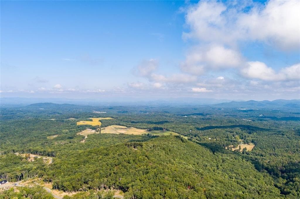 unimproved land for sale at 135 Twisted Oak Road, Talking Rock, GA 30175 — photo 10