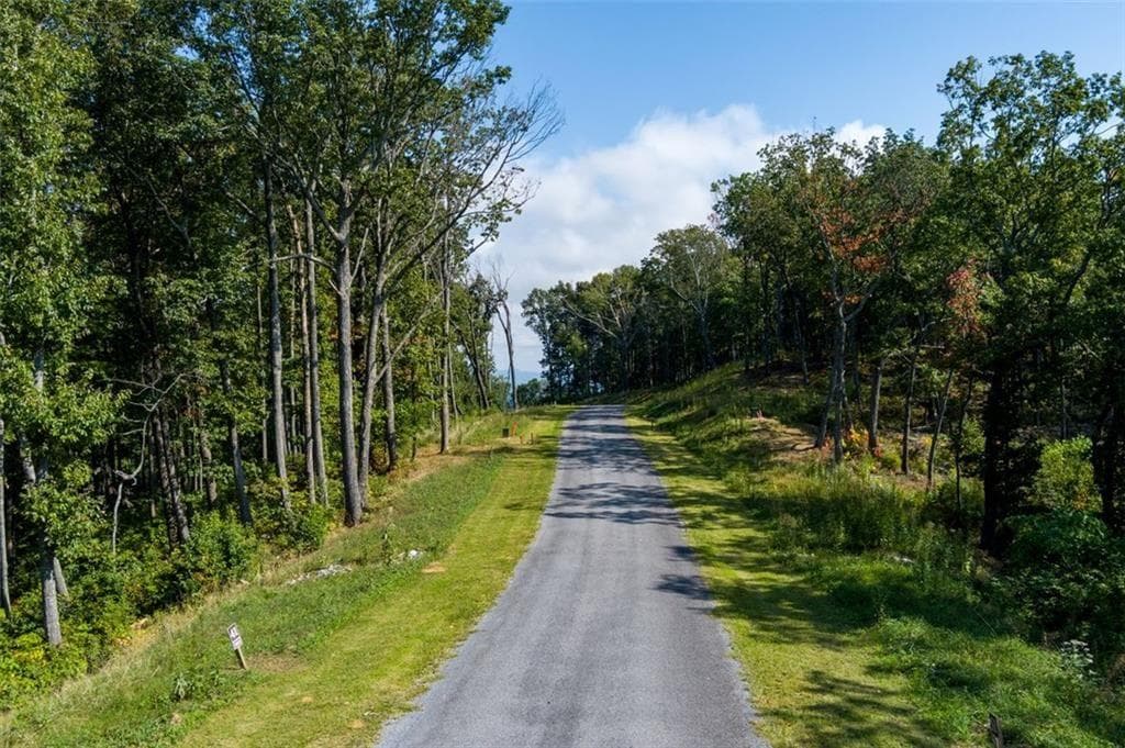 unimproved land for sale at 135 Twisted Oak Road, Talking Rock, GA 30175 — photo 2