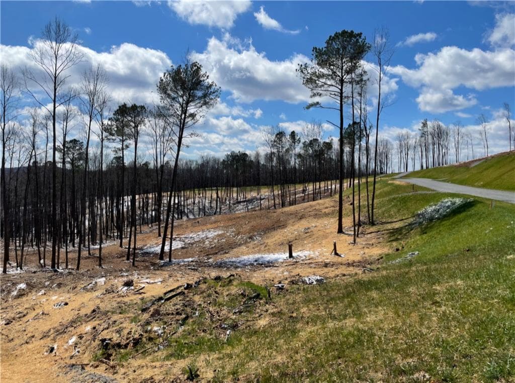 unimproved land for sale at 134 Twisted Oak Road, Talking Rock, GA 30175 — photo 2