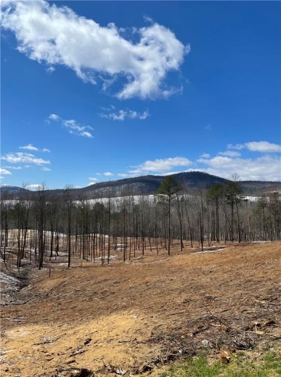 unimproved land for sale at 134 Twisted Oak Road, Talking Rock, GA 30175 — photo 8
