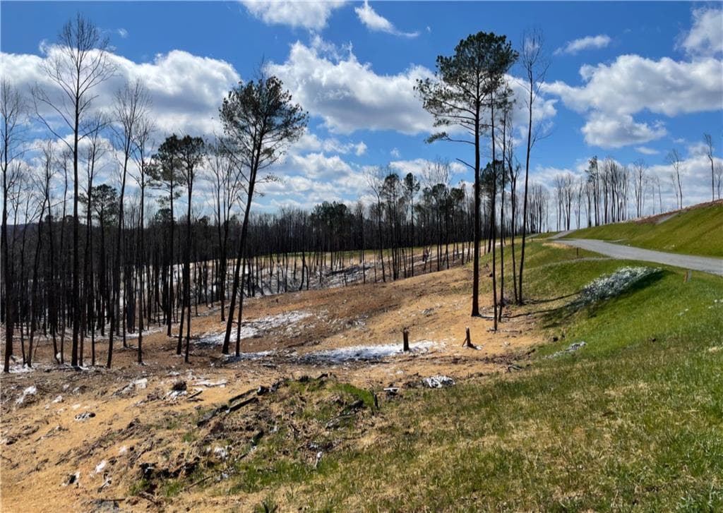 unimproved land for sale at 135 Twisted Oak Road, Talking Rock, GA 30175 — photo 7