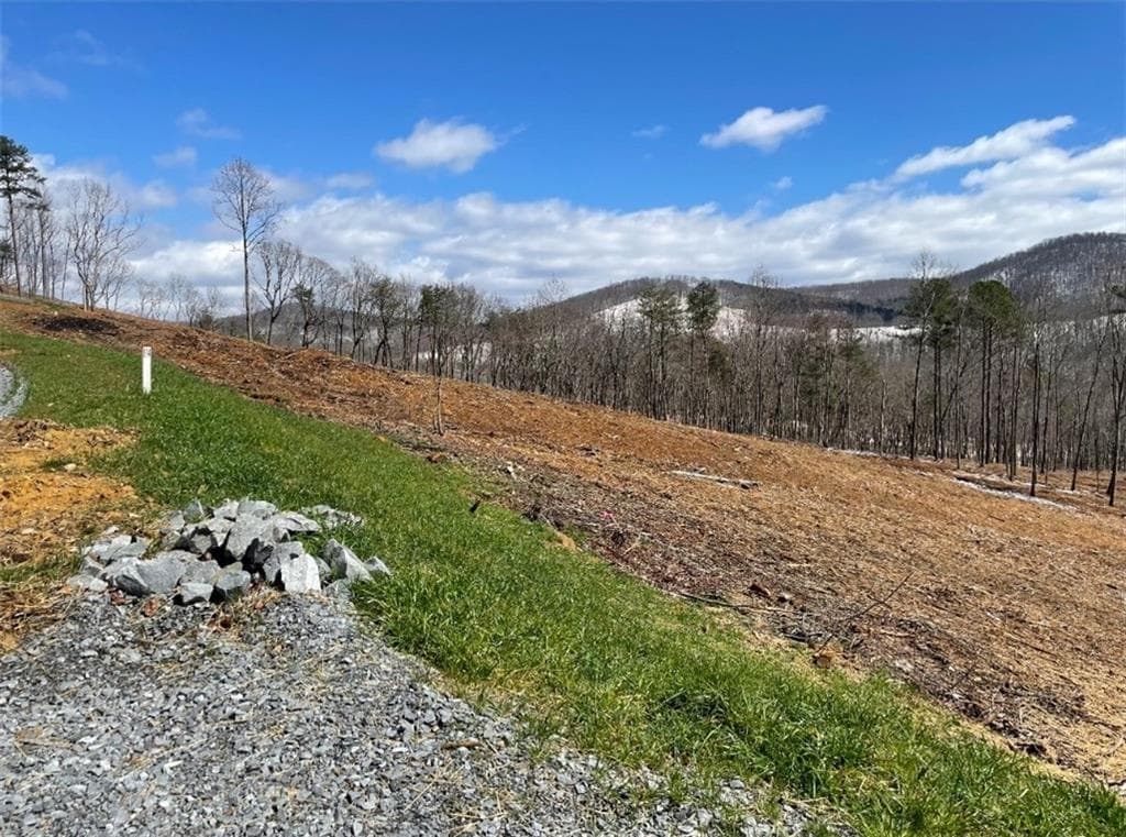 unimproved land for sale at 135 Twisted Oak Road, Talking Rock, GA 30175 — photo 9