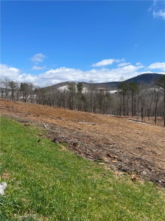 unimproved land for sale at 134 Twisted Oak Road, Talking Rock, GA 30175 — photo 10