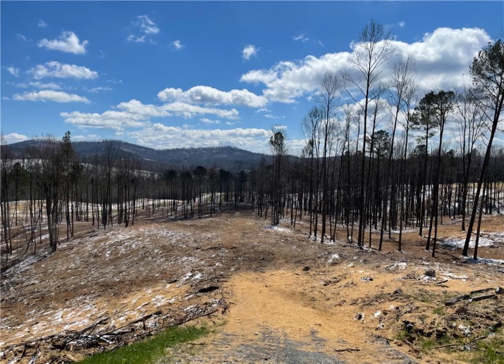 unimproved land for sale at 134 Twisted Oak Road, Talking Rock, GA 30175 — photo 1 of 24