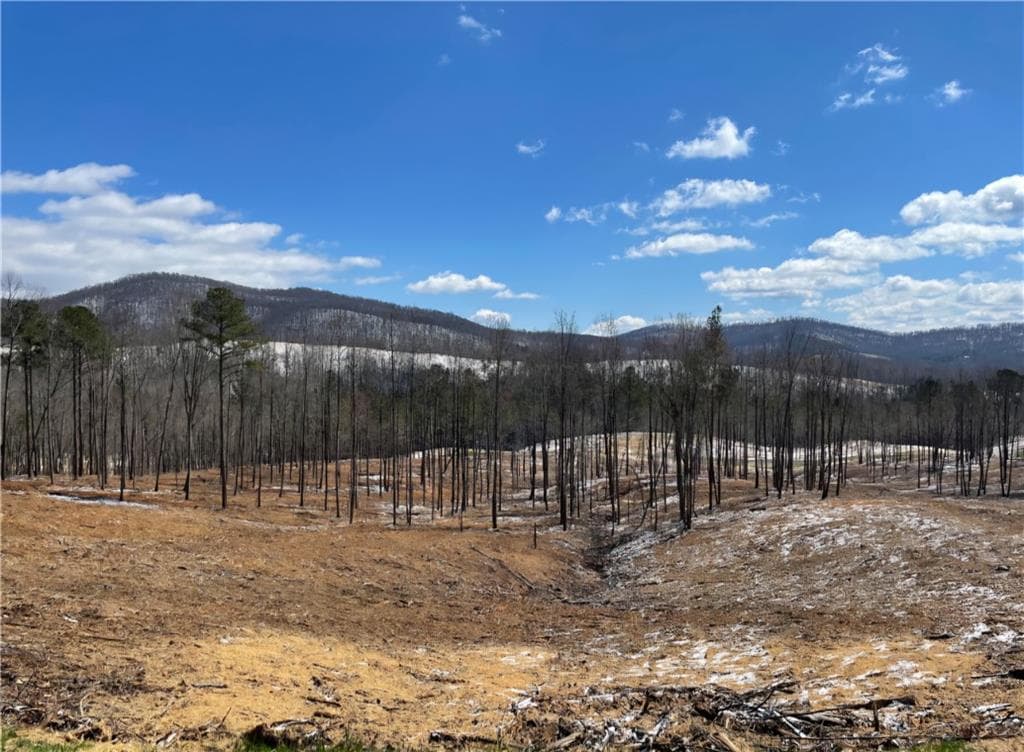 unimproved land for sale at 134 Twisted Oak Road, Talking Rock, GA 30175 — photo 4