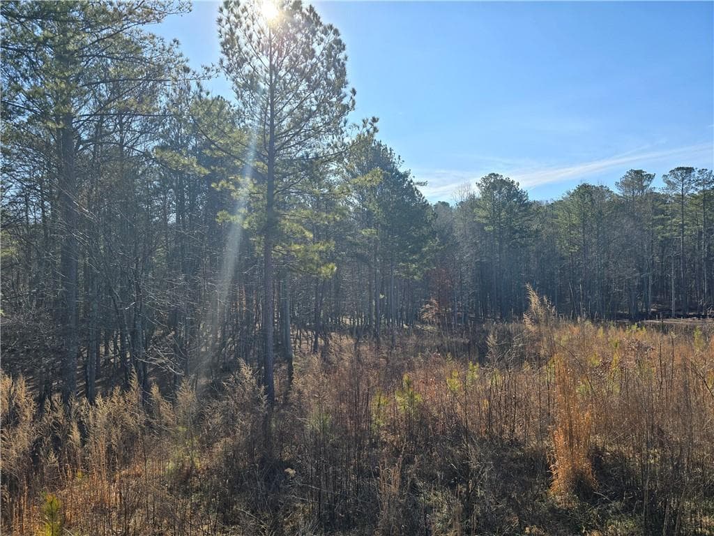 single family residence for sale at 00000 Highgrove Drive, Talking Rock, GA 30175 — photo 3