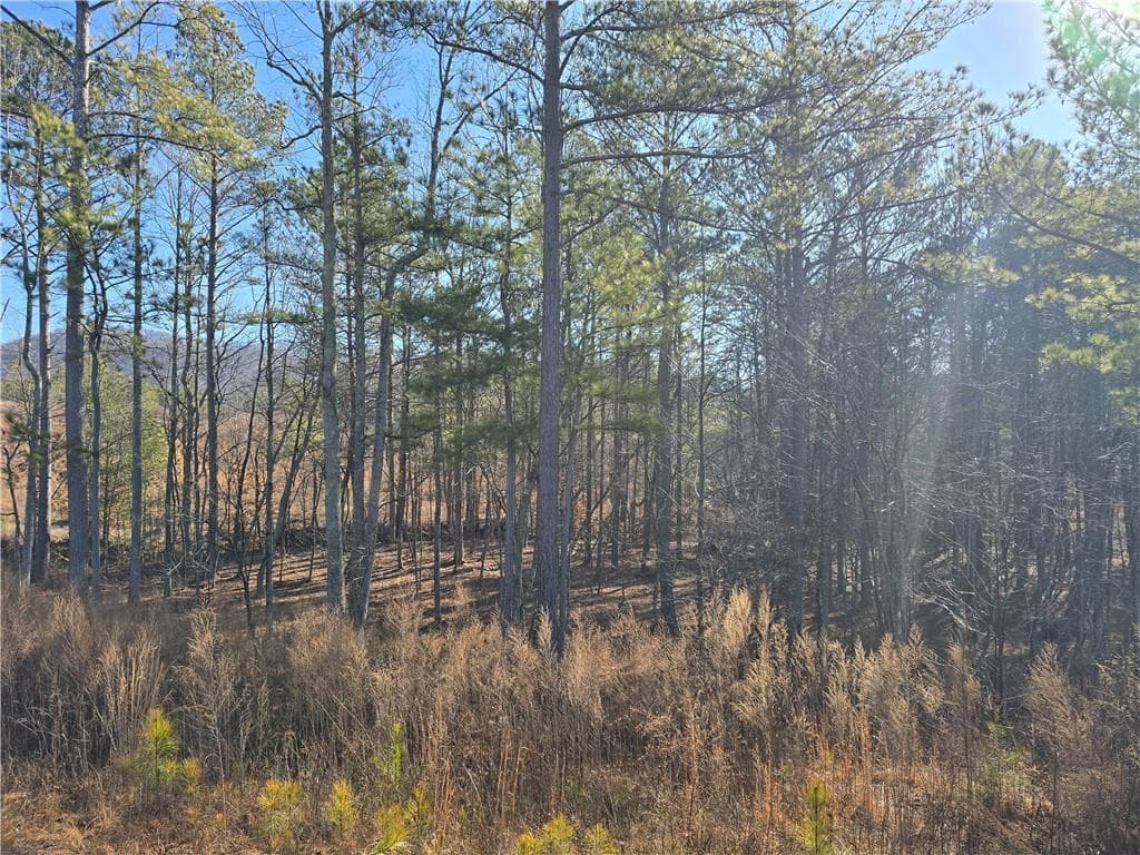 single family residence for sale at 00000 Highgrove Drive, Talking Rock, GA 30175 — photo 4