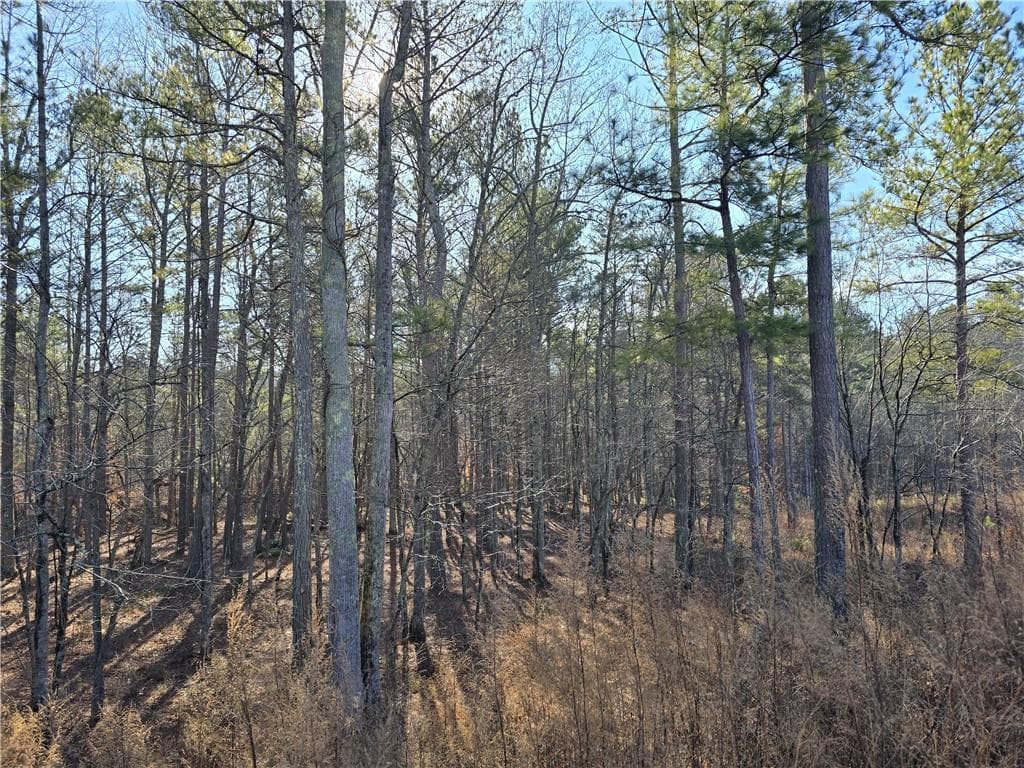single family residence for sale at 00000 Highgrove Drive, Talking Rock, GA 30175 — photo 5