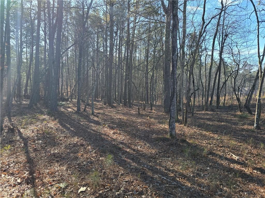 single family residence for sale at 00000 Highgrove Drive, Talking Rock, GA 30175 — photo 6