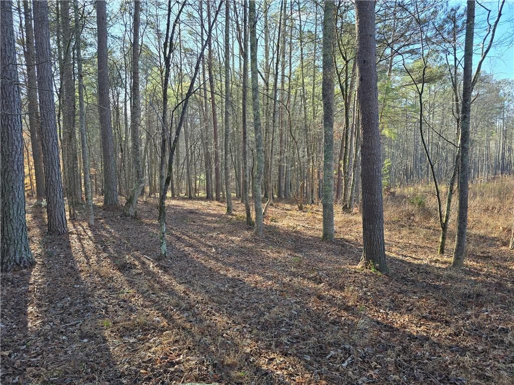 single family residence for sale at 00000 Highgrove Drive, Talking Rock, GA 30175 — photo 7