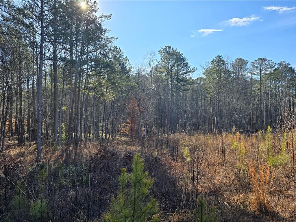 single family residence for sale at 00000 Highgrove Drive, Talking Rock, GA 30175 — photo 8