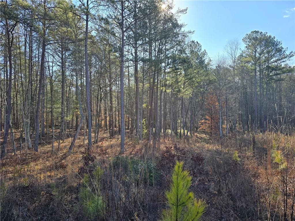 single family residence for sale at 00000 Highgrove Drive, Talking Rock, GA 30175 — photo 9