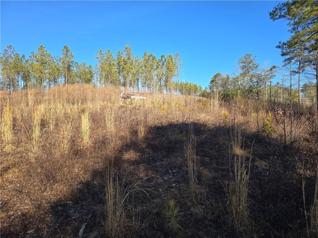 single family residence for sale at 00000 Highgrove Drive, Talking Rock, GA 30175 — photo 10