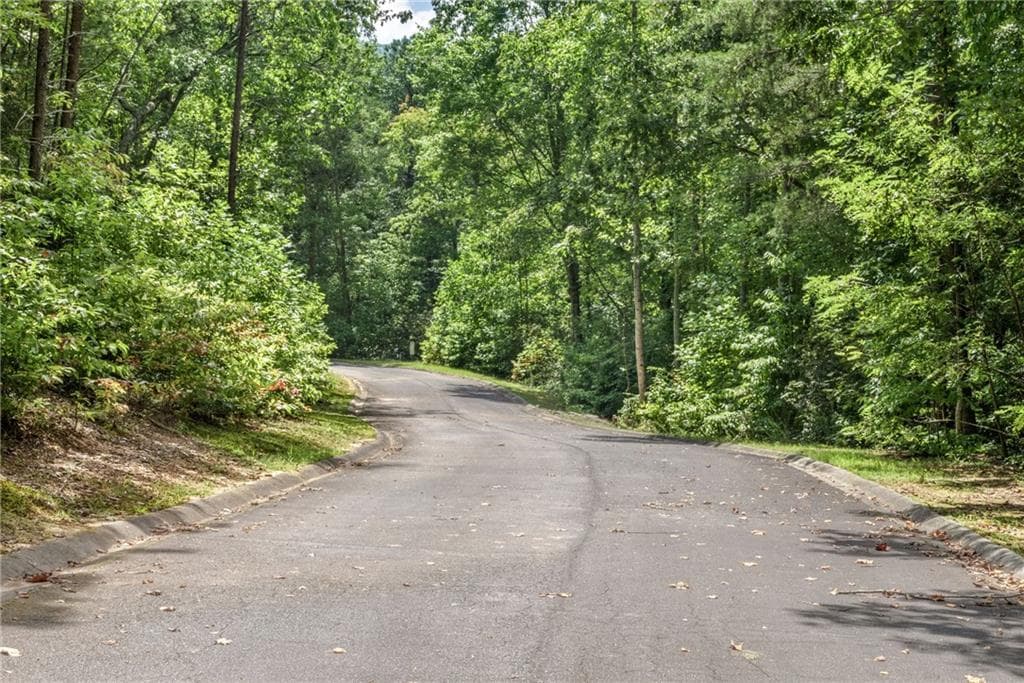 single family residence for sale at 0 Golden Lane, Clarkesville, GA 30523 — photo 6