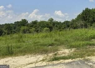 single family residence sold at 2171 Ga Highway 133, Moultrie, GA 31768