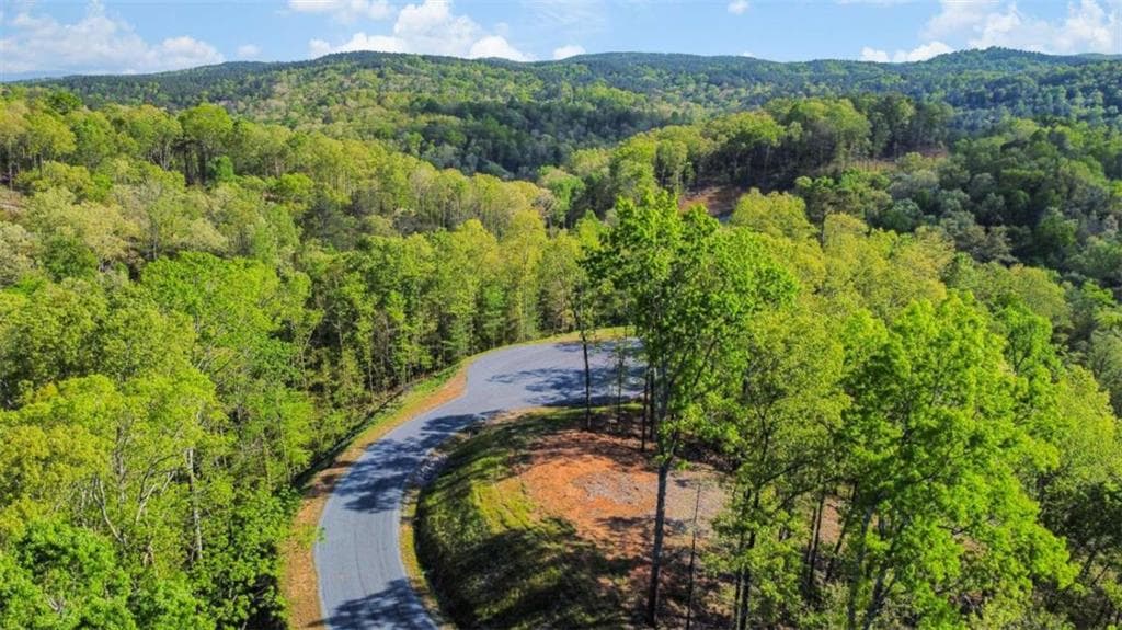 single family residence under contract at LT 274 Canoe Way, Talking Rock, GA 30175 — photo 3