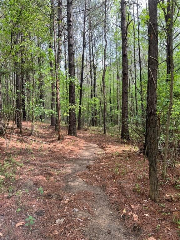 unimproved land for sale at 0 Willingham Drive, Fayetteville, GA 30214