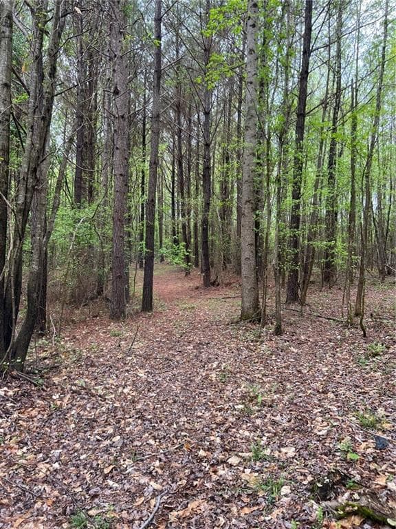 unimproved land for sale at 0 Willingham Drive, Fayetteville, GA 30214 — photo 3